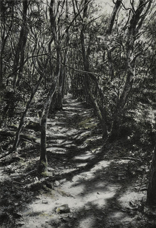 Bois_des_Oelliantes1