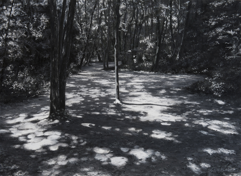 Bois de Païolive III